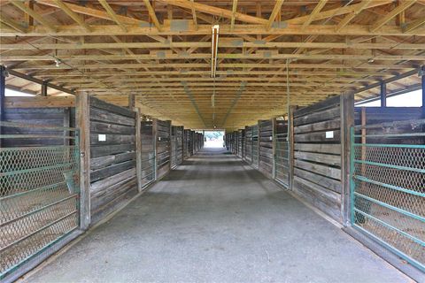 Tiny photo for 19431 NE 17th Place, Williston, FL 32696 (MLS # OM679092)