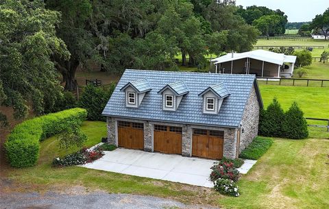 Tiny photo for 19431 NE 17th Place, Williston, FL 32696 (MLS # OM679092)