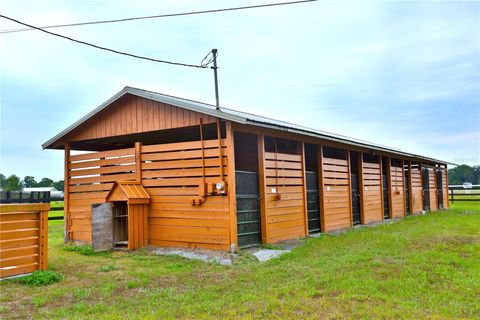 Tiny photo for 19431 NE 17th Place, Williston, FL 32696 (MLS # OM679092)