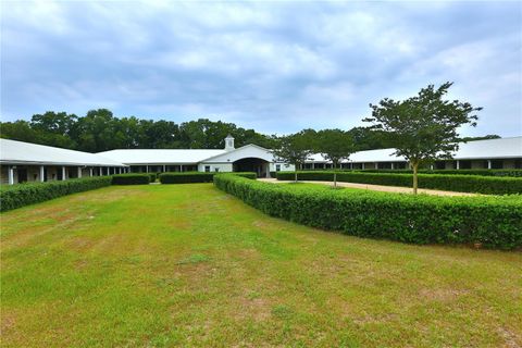 Tiny photo for 19431 NE 17th Place, Williston, FL 32696 (MLS # OM679092)