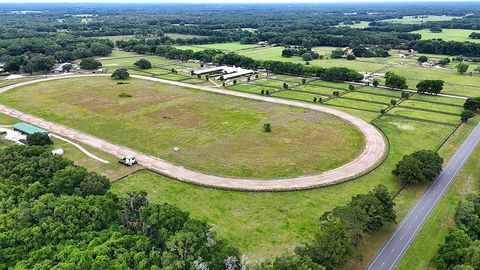 Tiny photo for 19431 NE 17th Place, Williston, FL 32696 (MLS # OM679092)