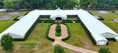 Tiny photo for 19431 NE 17th Place, Williston, FL 32696 (MLS # OM679092)