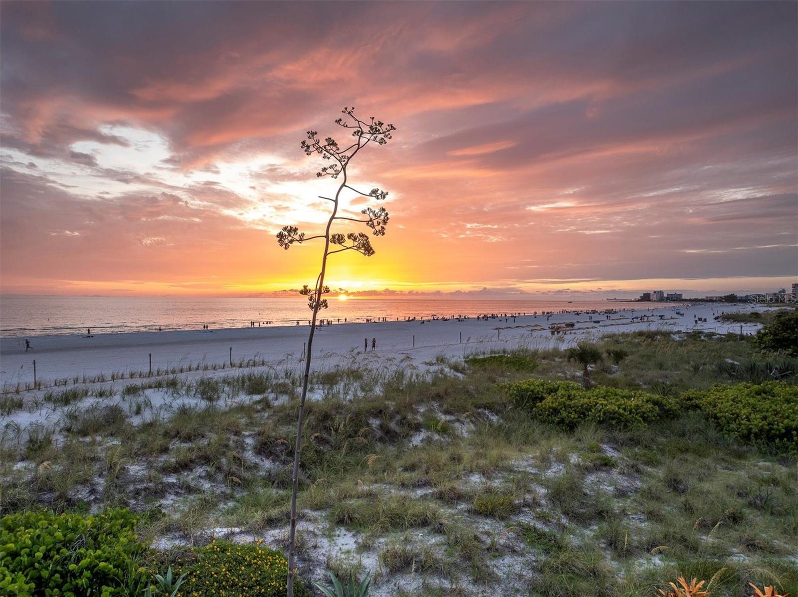 THREE PALMS POINTE CONDO - Residential