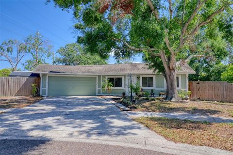 506 SUMMERWOOD COURT TARPON SPRINGS FL 34689