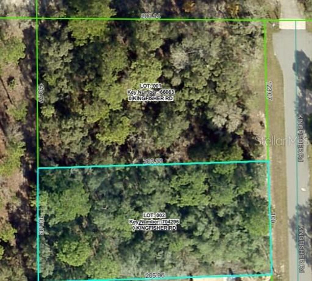 Photo of 1 Kingfisher Road, Weeki Wachee, FL 34614 (MLS # W7881454)