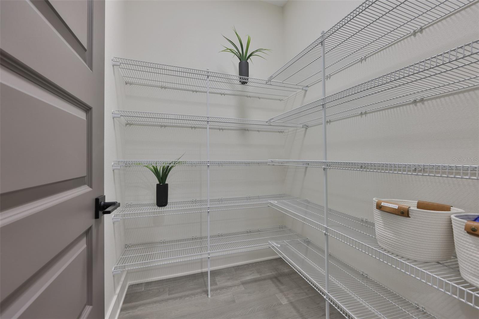 GANDY BLVD PARK - Residential