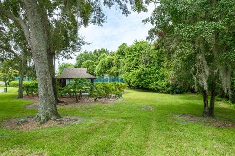 A home in PALM HARBOR