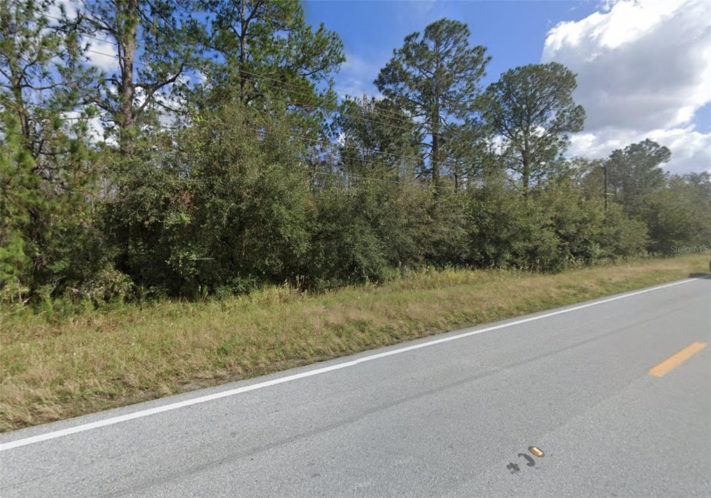 Photo of Old Grade Road, Polk City, FL 33868 (MLS # A4702222)