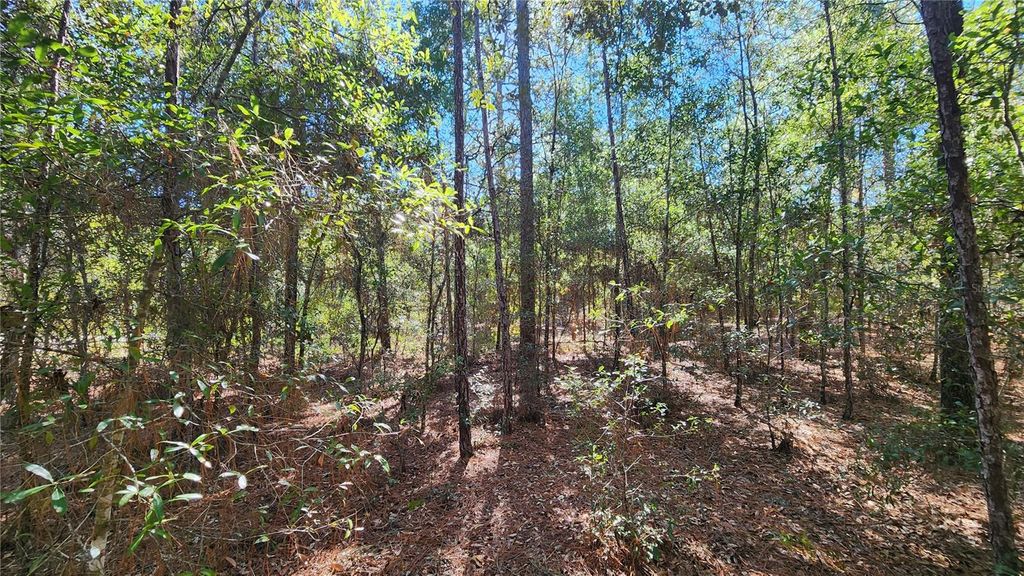 Photo of 9955 N Sherman Drive, Citrus Springs, FL 34434 (MLS # OM713323)