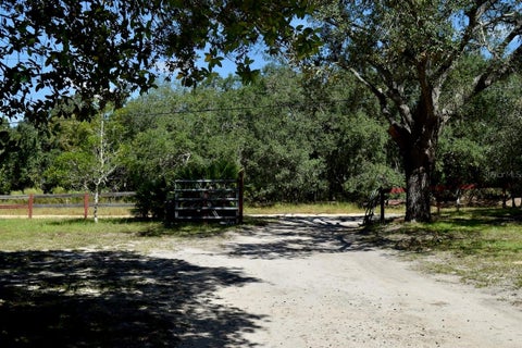 Tiny photo for 1750 W High Acres Street, Lecanto, FL 34461 (MLS # TB8554320)