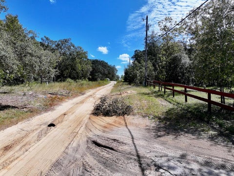 Tiny photo for 1750 W High Acres Street, Lecanto, FL 34461 (MLS # TB8554320)