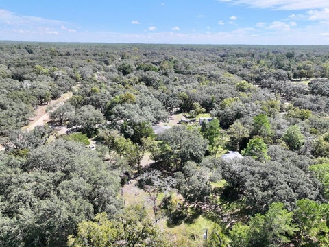 Tiny photo for 1750 W High Acres Street, Lecanto, FL 34461 (MLS # TB8554320)