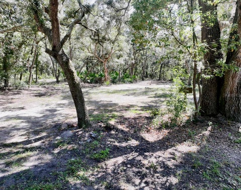 Tiny photo for 1750 W High Acres Street, Lecanto, FL 34461 (MLS # TB8554320)