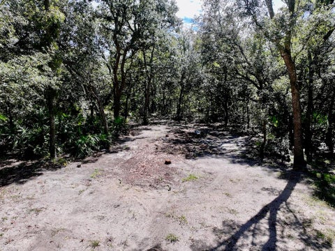 Tiny photo for 1750 W High Acres Street, Lecanto, FL 34461 (MLS # TB8554320)