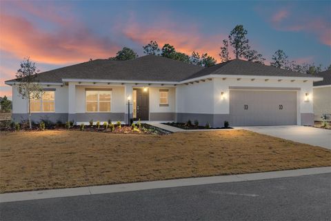 Photo of 10020 SW 106th Circle, Ocala, FL 34481 (MLS # OM718166)