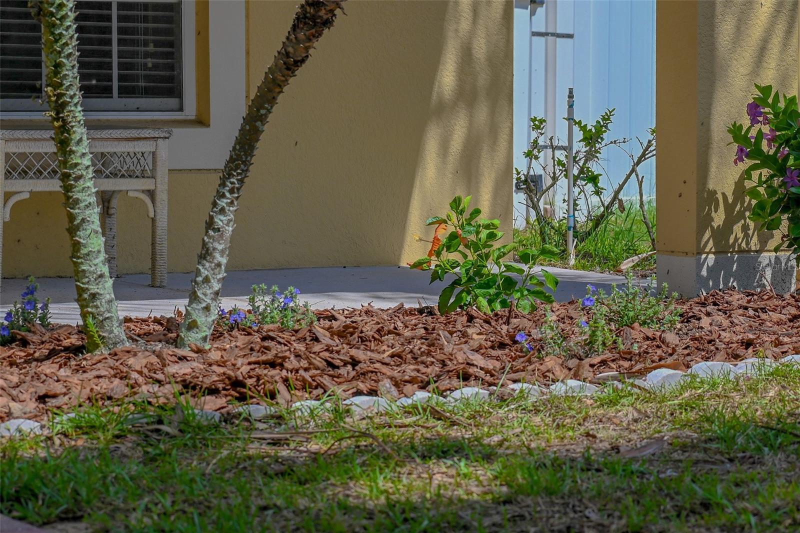 2019 HONEYBELL AVENUE