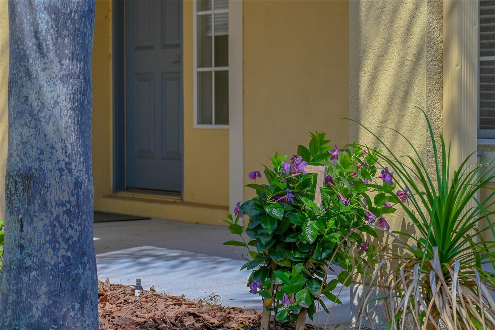 2019 HONEYBELL AVENUE