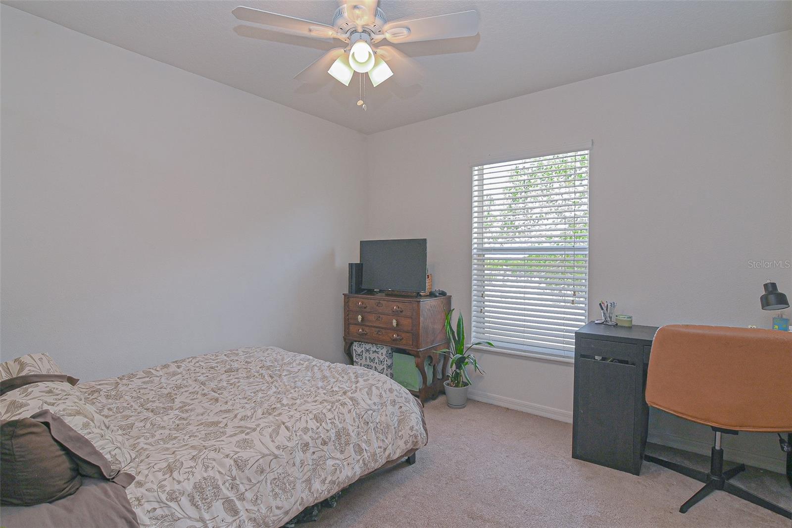 PATTERSON GROVES - Residential