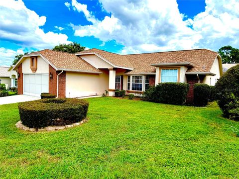 Photo of 6157 N Silver Palm Way, Beverly Hills, FL 34465 (MLS # OM708974)