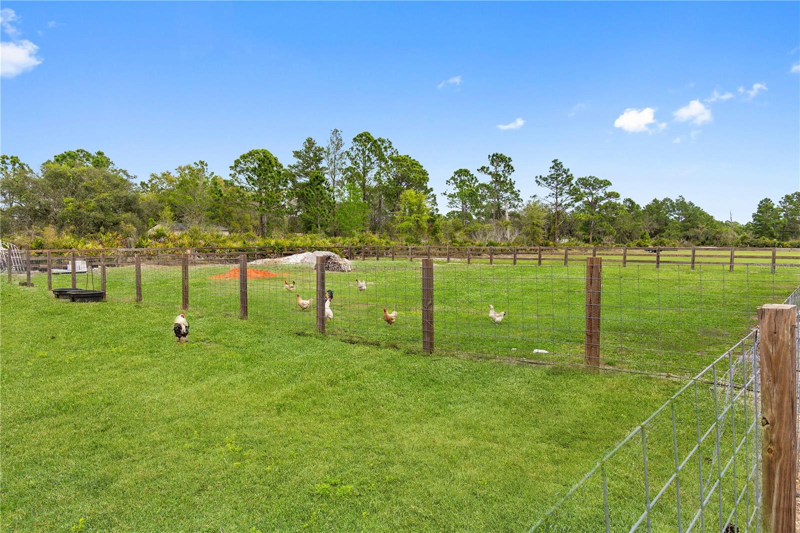 MONEYTREE RANCHETTES SUB - Residential