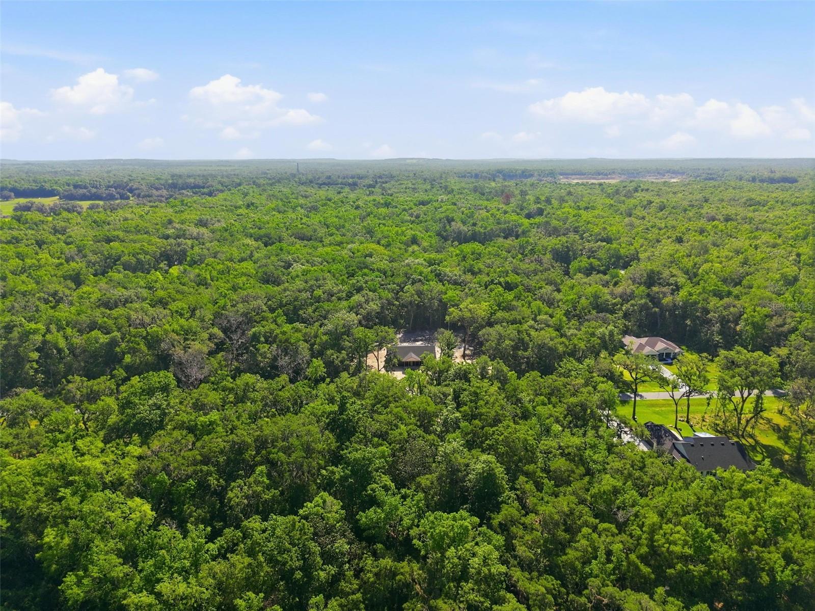 CHAMPION ESTATES - Land