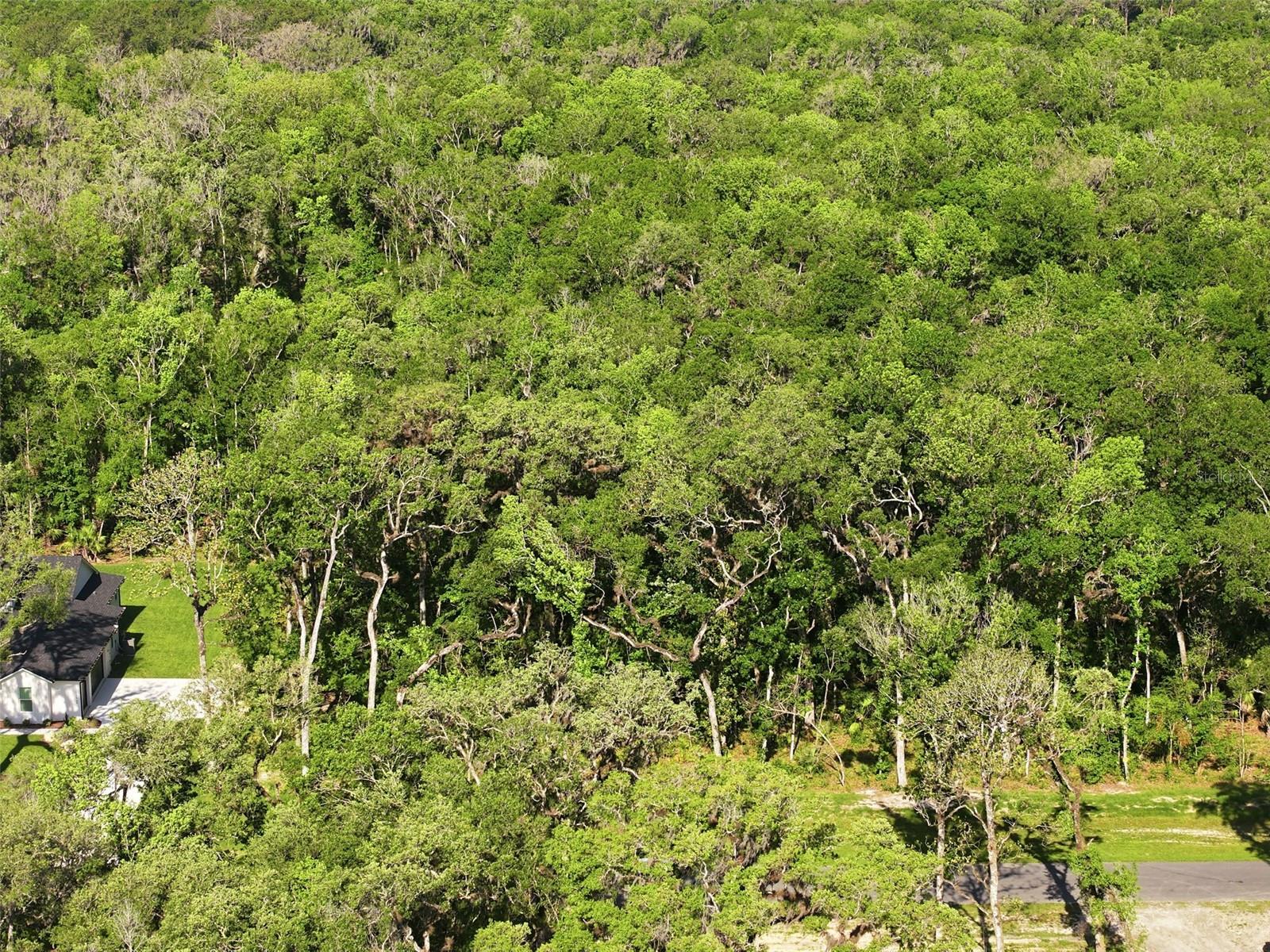 CHAMPION ESTATES - Land