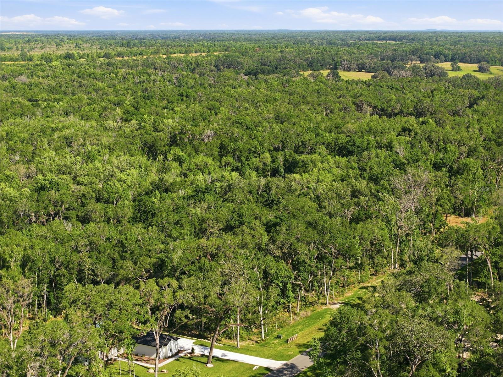 CHAMPION ESTATES - Land