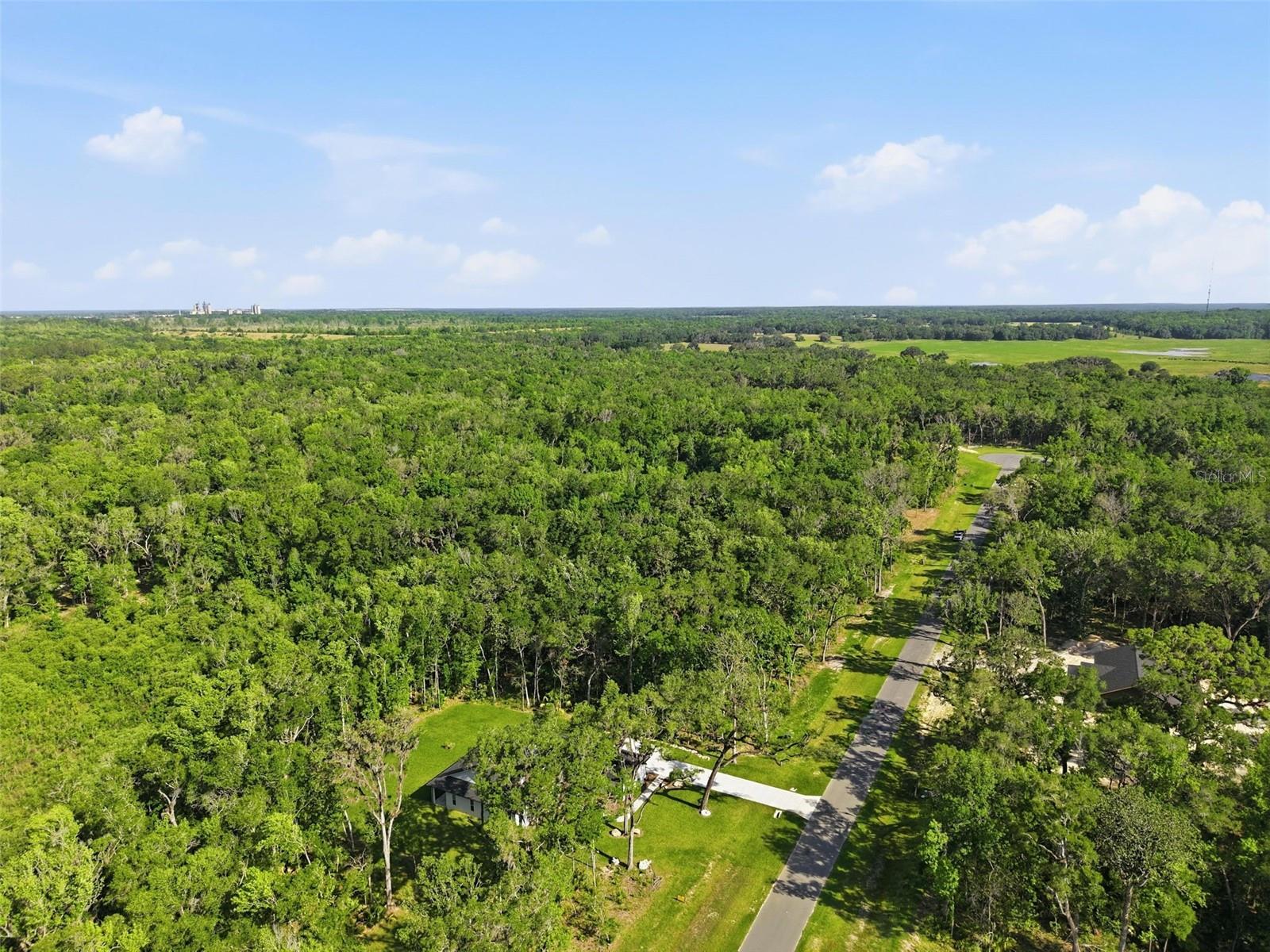 CHAMPION ESTATES - Land