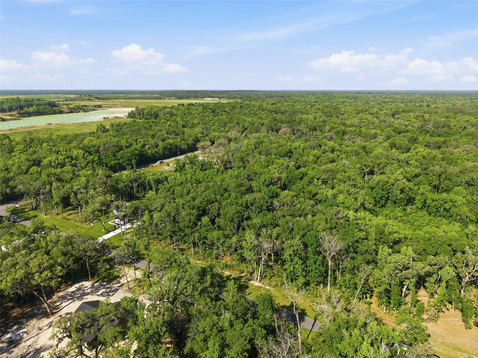 CHAMPION ESTATES - Land