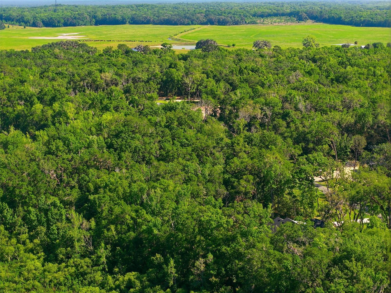 CHAMPION ESTATES - Land