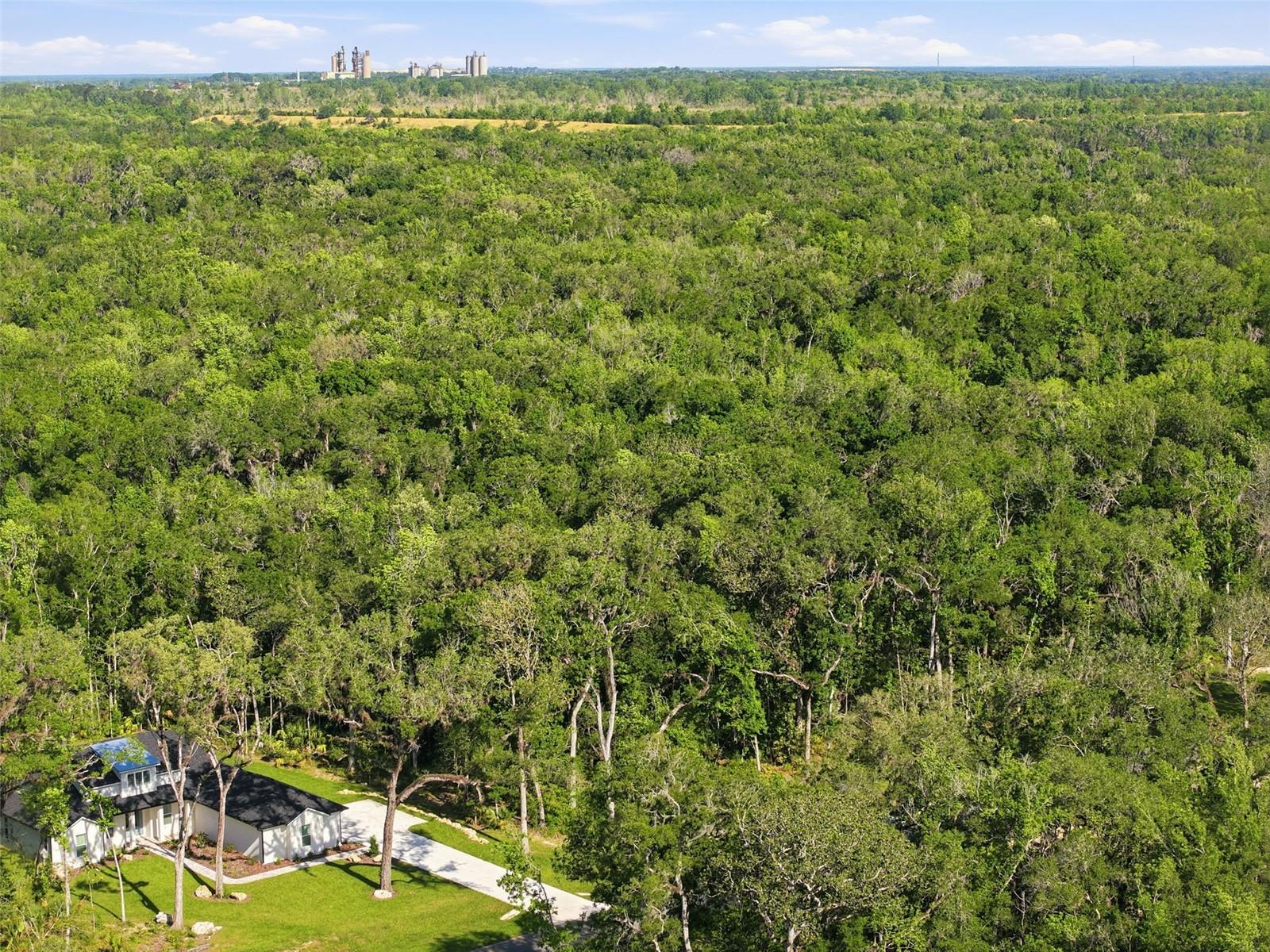 CHAMPION ESTATES - Land