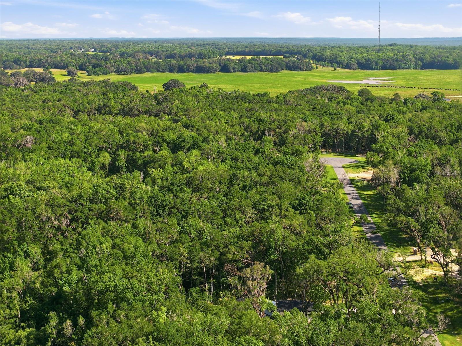 CHAMPION ESTATES - Land