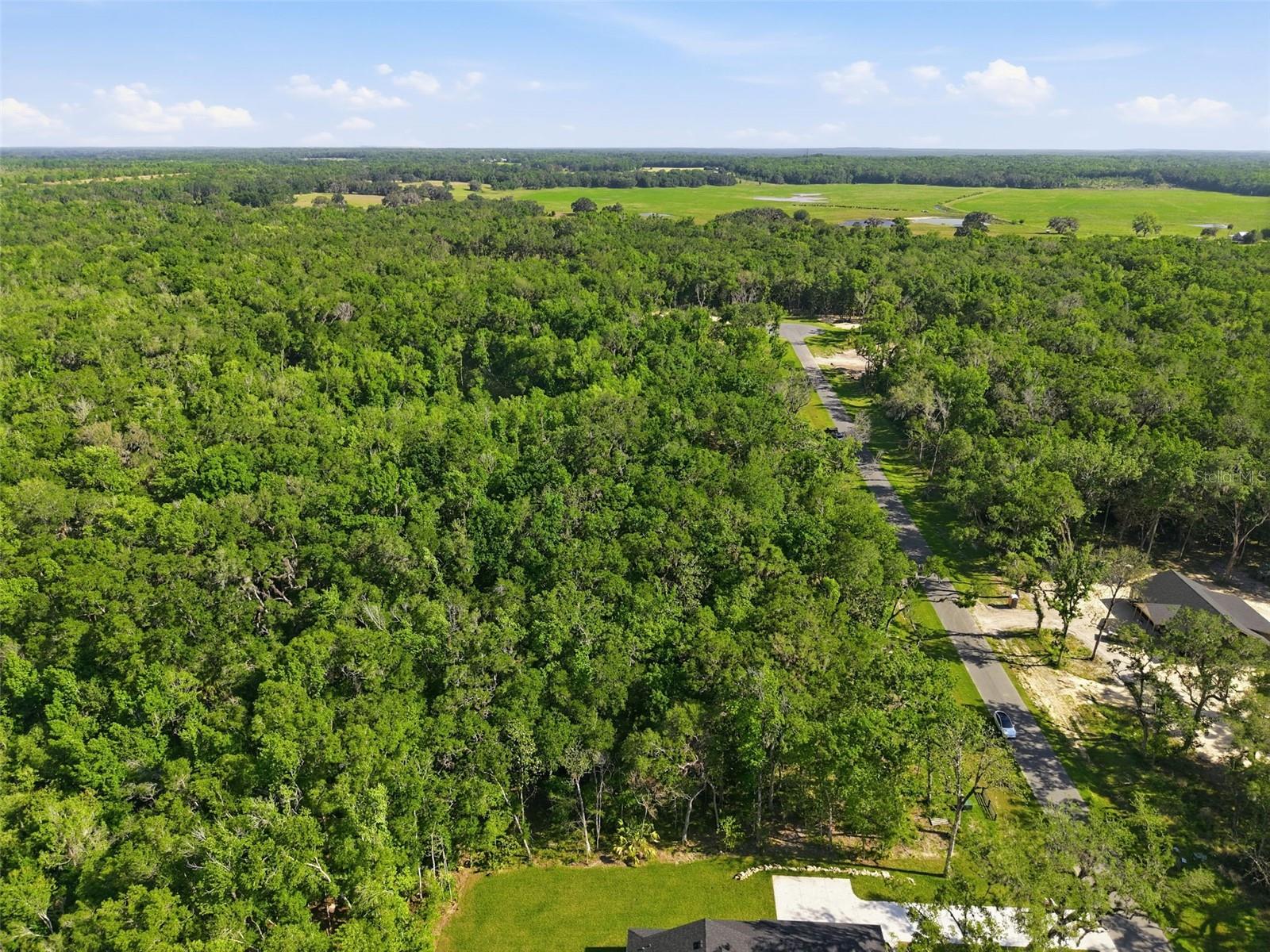 CHAMPION ESTATES - Land