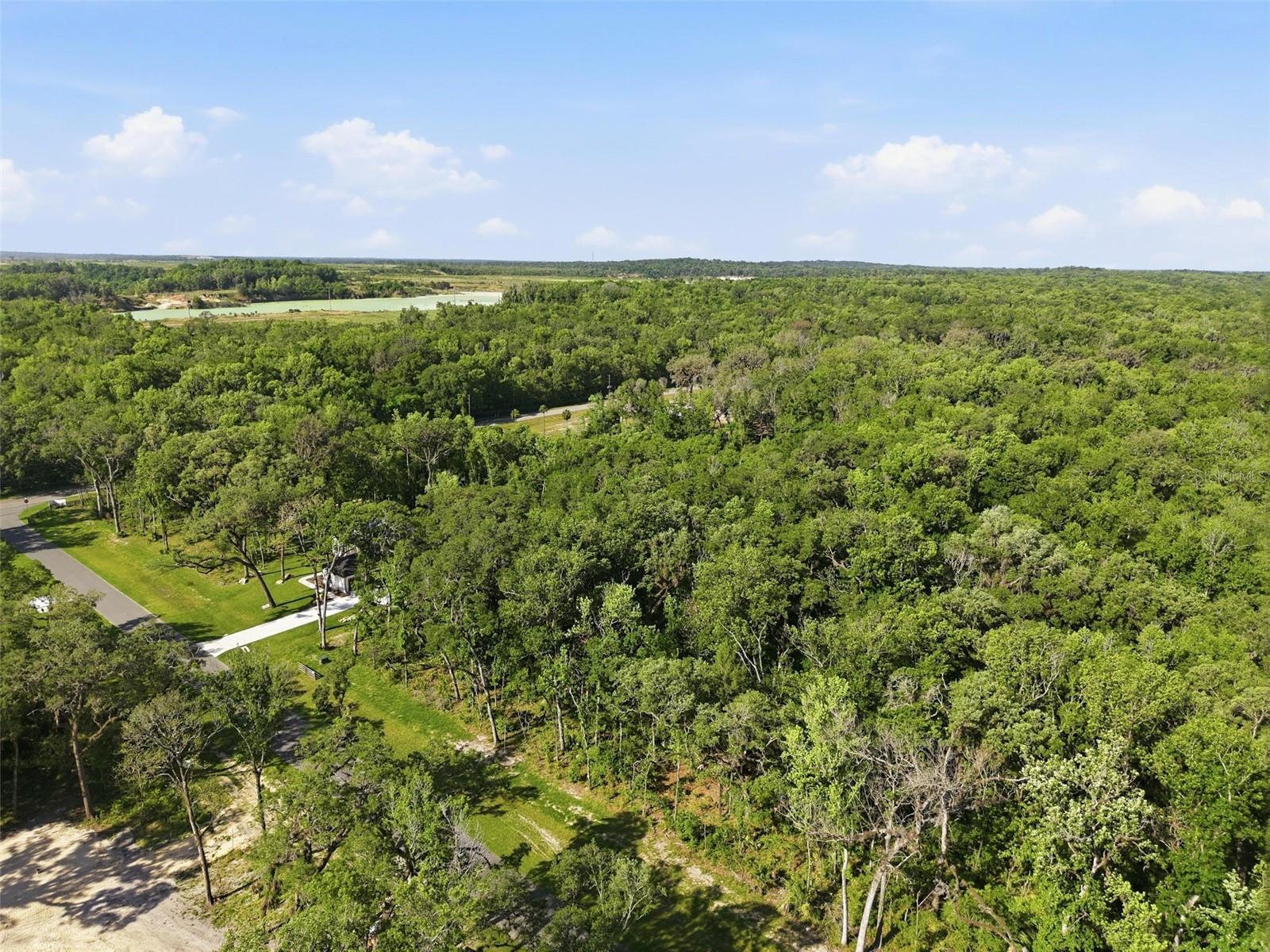 CHAMPION ESTATES - Land