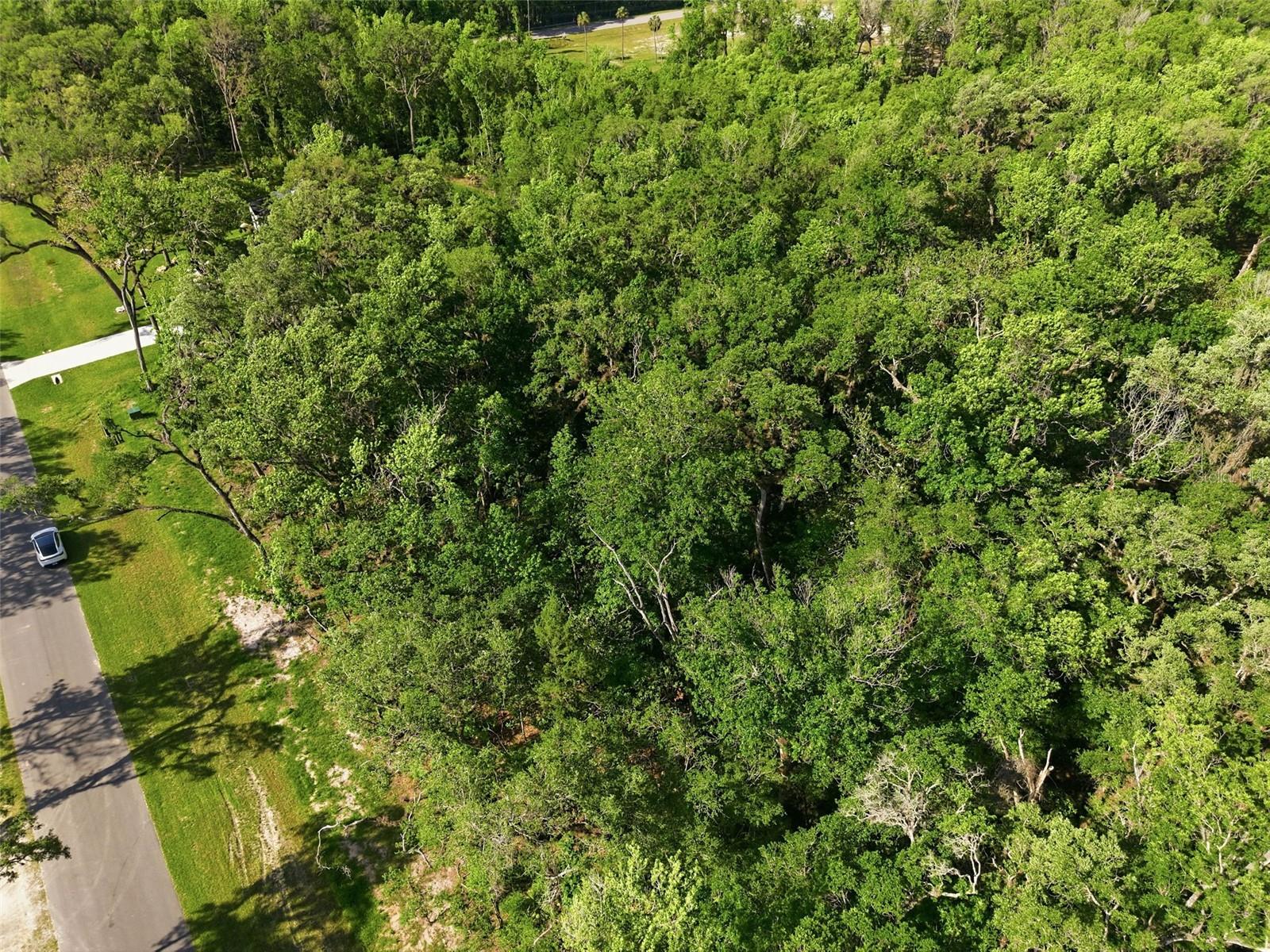 CHAMPION ESTATES - Land