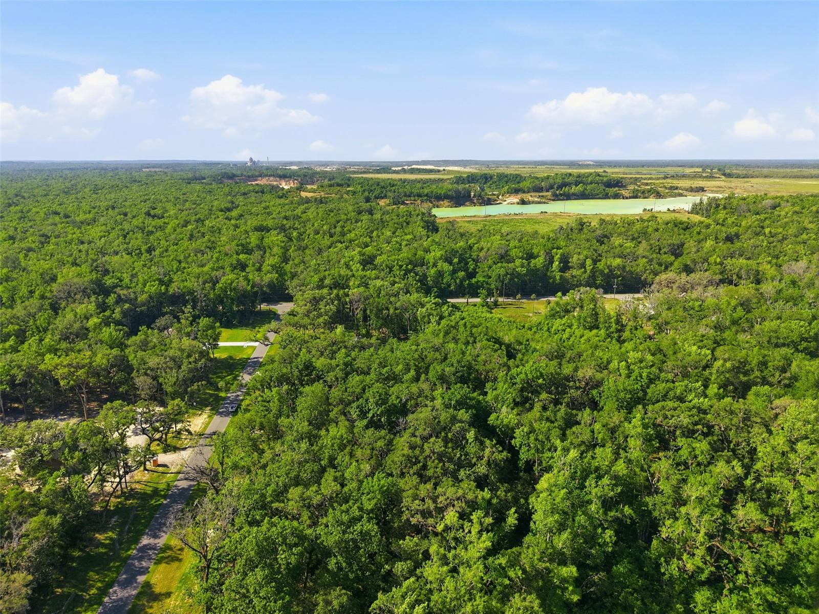 CHAMPION ESTATES - Land