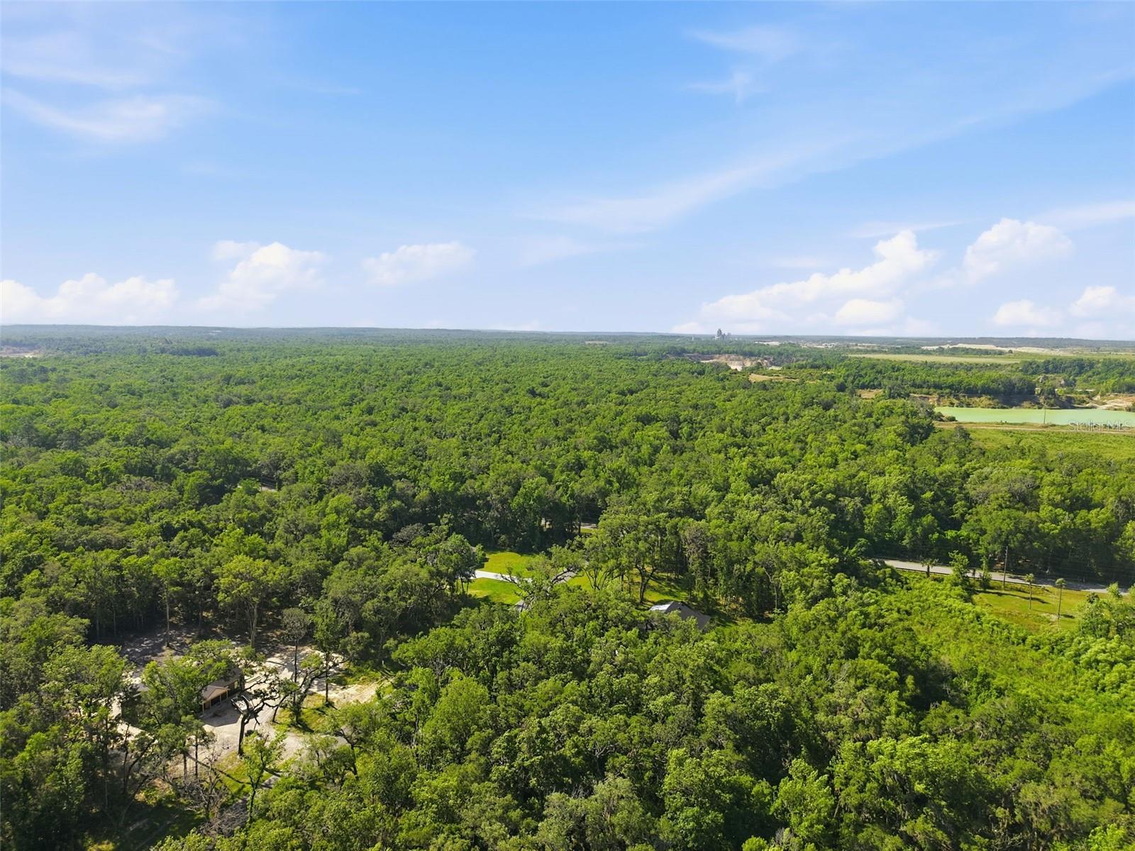 CHAMPION ESTATES - Land