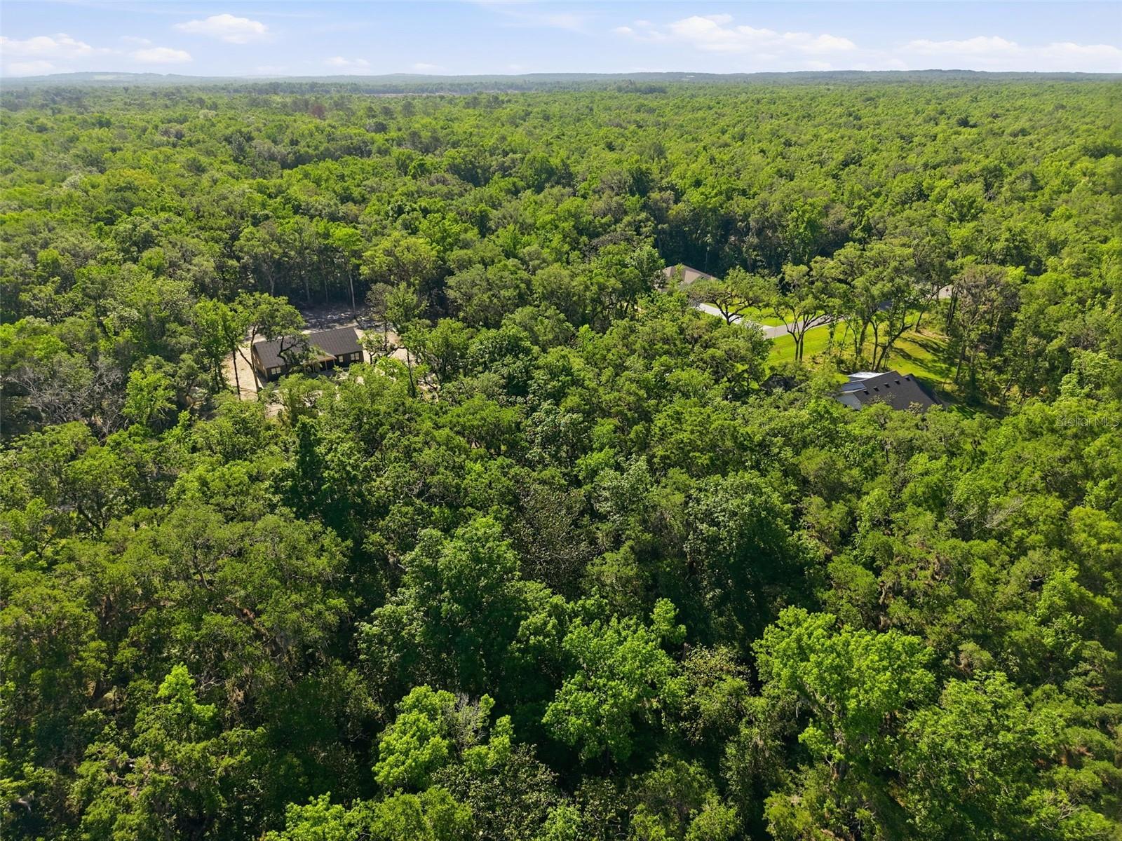 CHAMPION ESTATES - Land