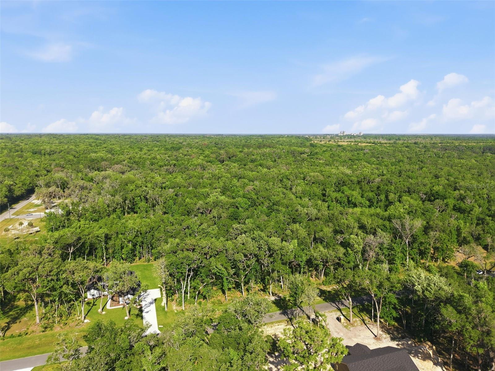 CHAMPION ESTATES - Land