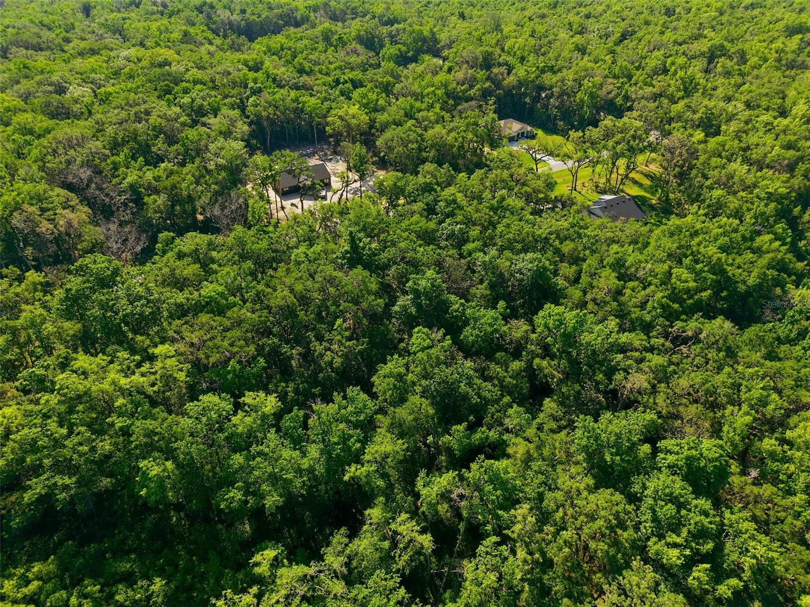 CHAMPION ESTATES - Land