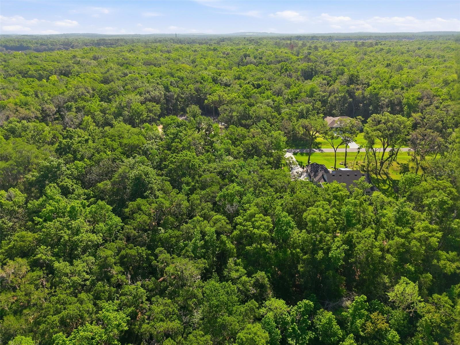 CHAMPION ESTATES - Land