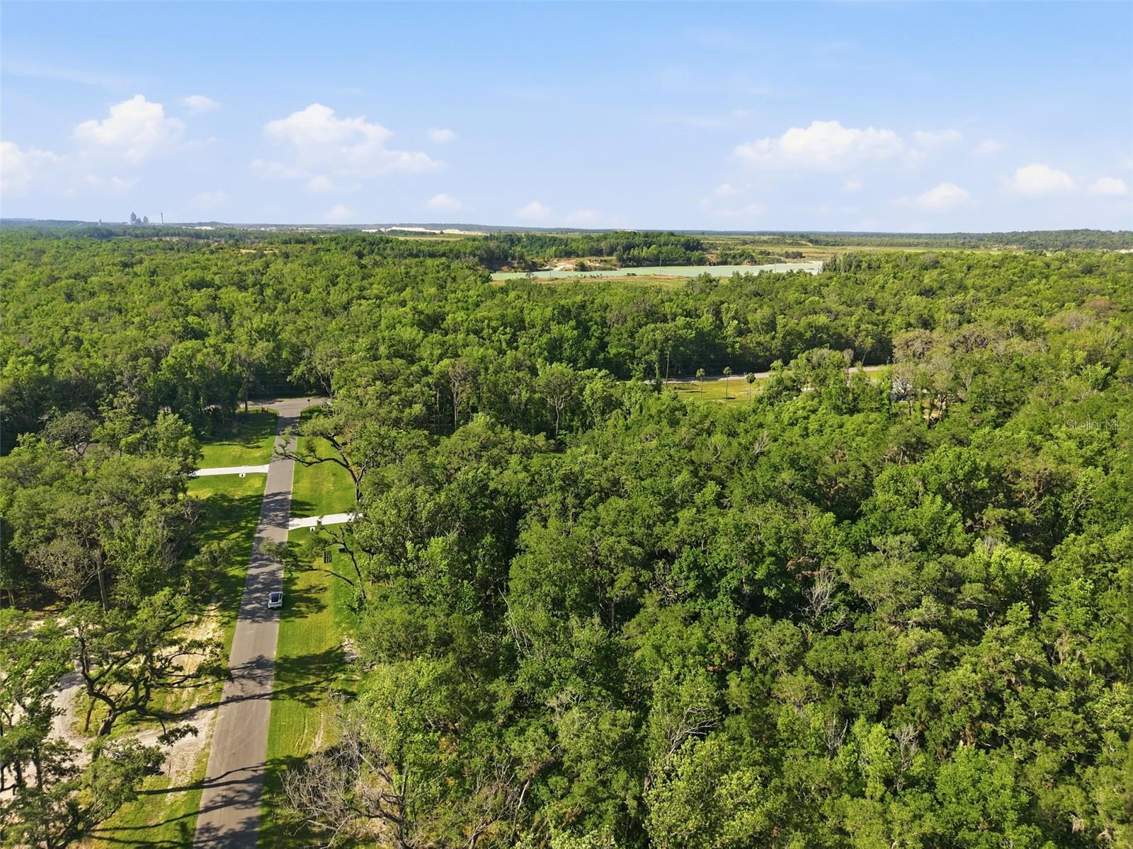 CHAMPION ESTATES - Land