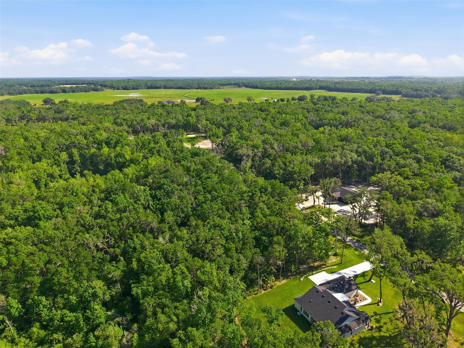 CHAMPION ESTATES - Land