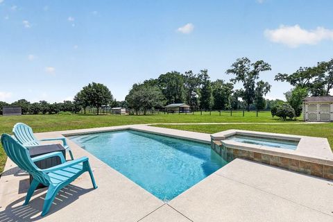 Tiny photo for 2556 NE 120th Street, Anthony, FL 32617 (MLS # TB8525603)