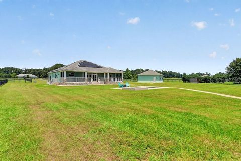 Tiny photo for 2556 NE 120th Street, Anthony, FL 32617 (MLS # TB8525603)