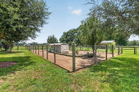 Tiny photo for 2556 NE 120th Street, Anthony, FL 32617 (MLS # TB8525603)