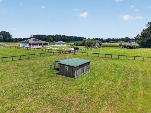 Tiny photo for 2556 NE 120th Street, Anthony, FL 32617 (MLS # TB8525603)