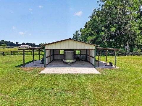 Tiny photo for 2556 NE 120th Street, Anthony, FL 32617 (MLS # TB8525603)