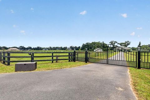 Tiny photo for 2556 NE 120th Street, Anthony, FL 32617 (MLS # TB8525603)