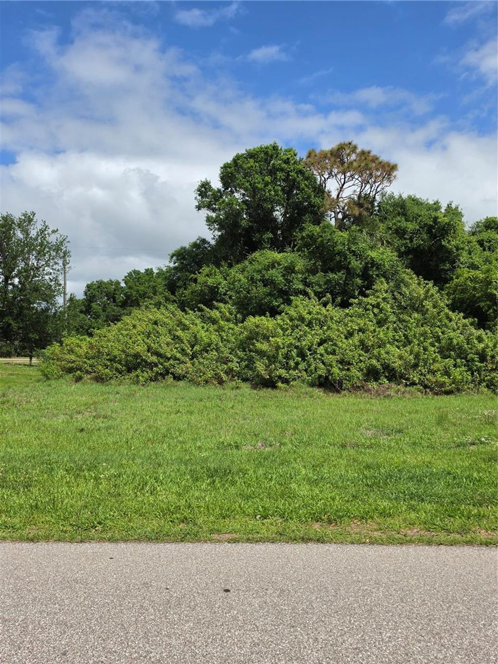 Photo of 30080 Cedar Road, Punta Gorda, FL 33982 (MLS # C7524403)